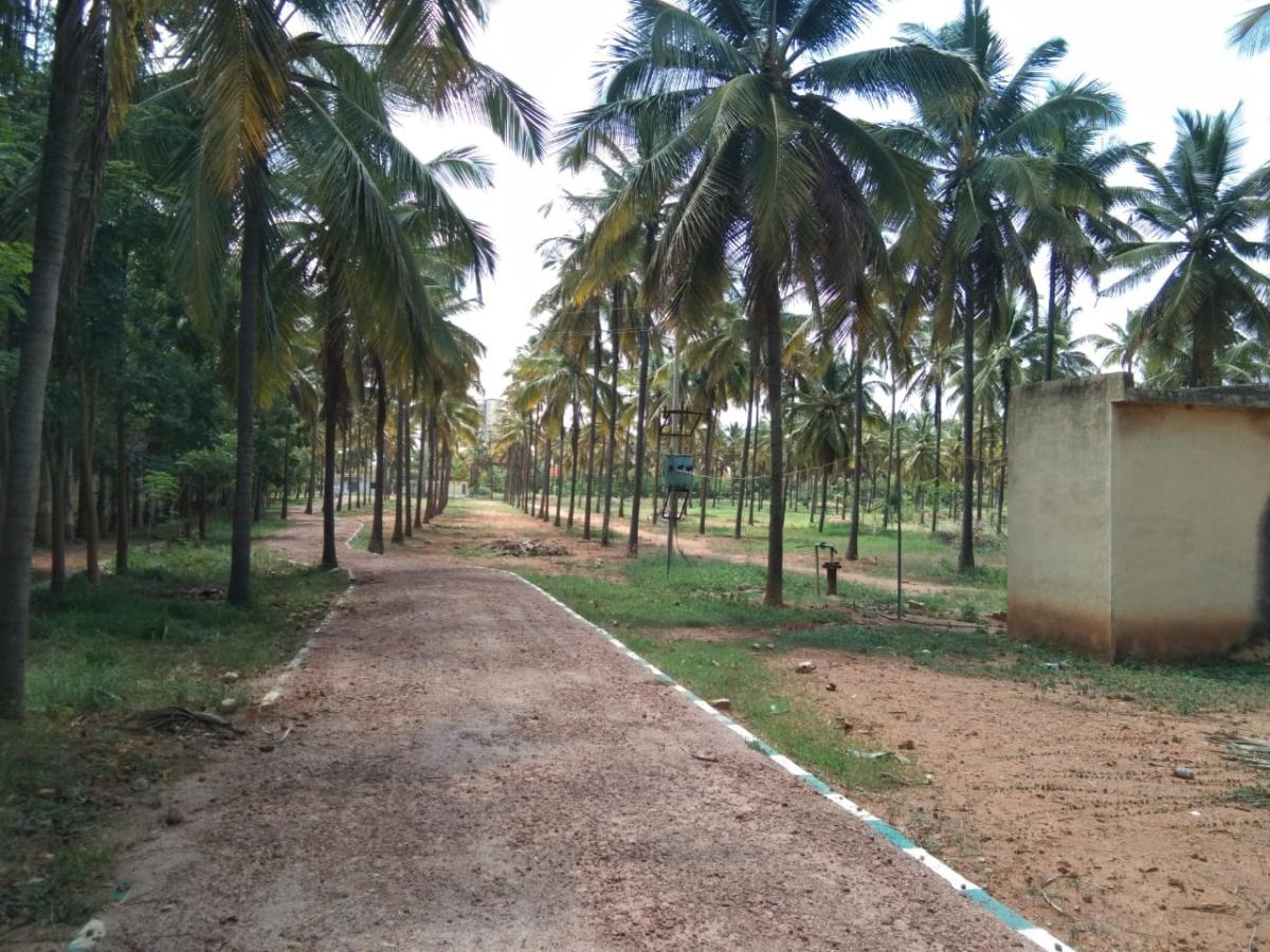 The mini-Lalbagh will have all the facilities required to attract daily joggers and visitors.