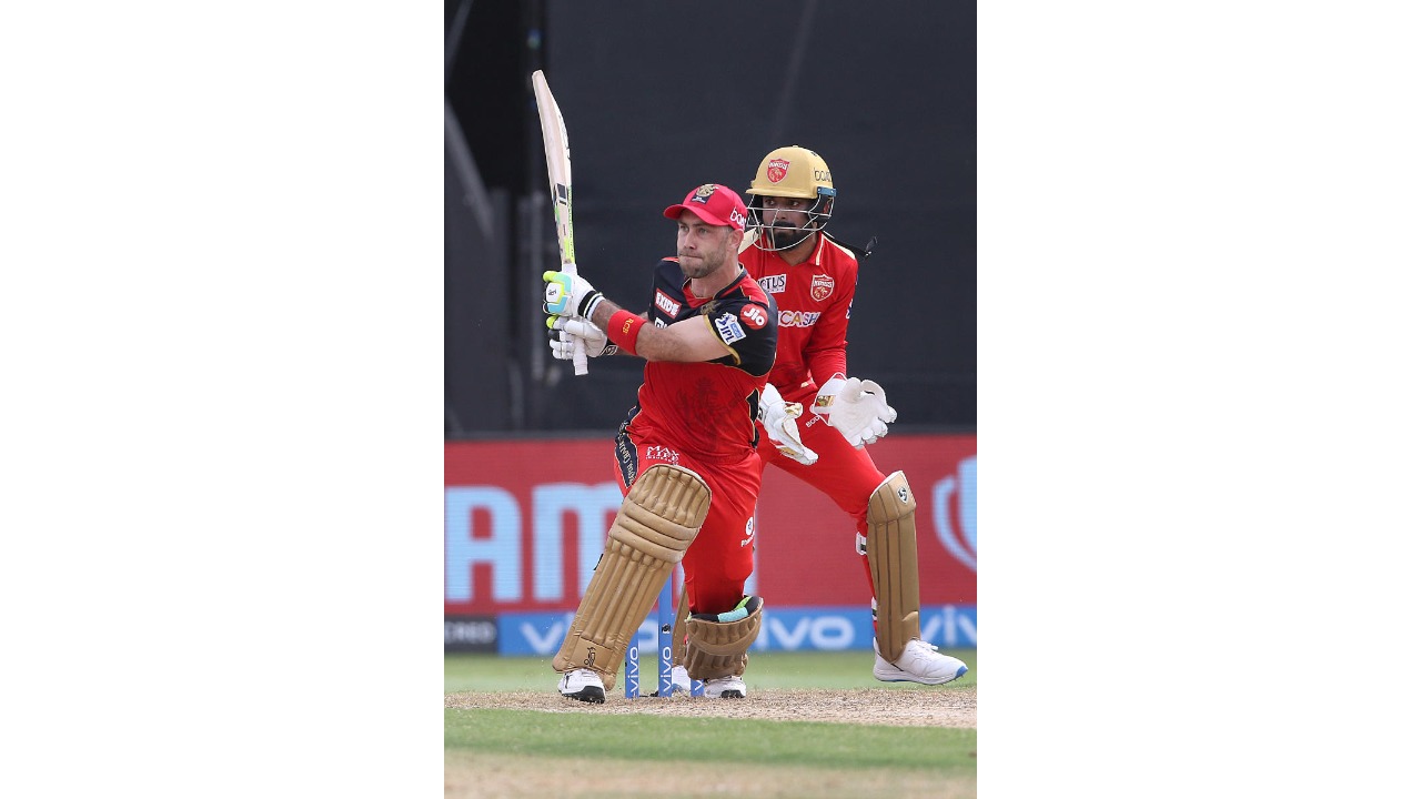 Glenn Maxwell was RCB’s most successful batsman with 513 runs.