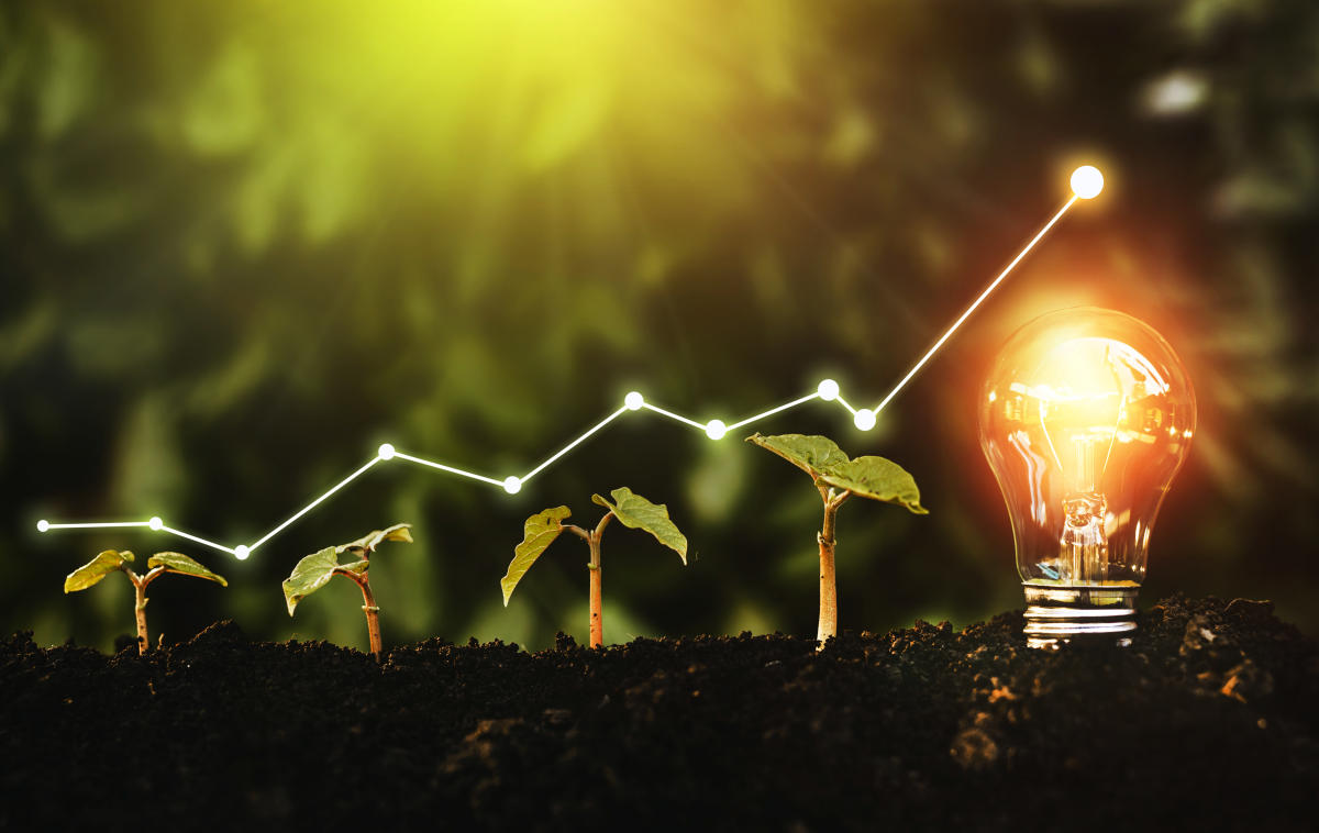 Lightbulb is located on the soil, plant are growing.Renewable energy generation is essential in the future