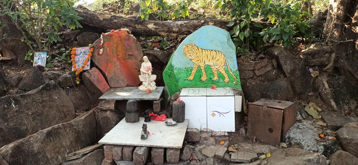 The Warli tribal community banks on faith for protection from leopard attacks, and believes in co-existence. PHOTO CREDIT: MRITYUNJAY BOSE