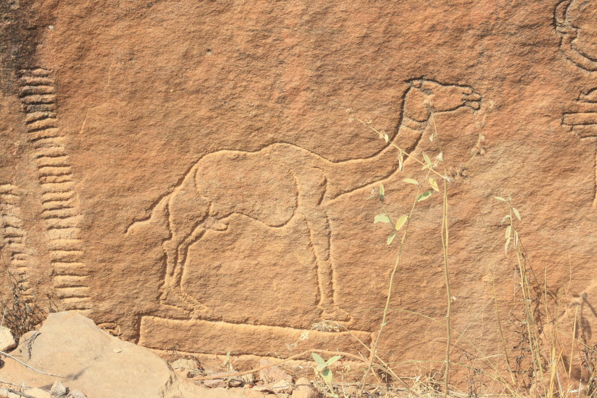 Artisan’s sketch of a camel. Photos by Srikumar M Menon 