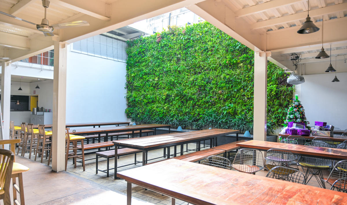 A vertical garden design by Natura Greentech. Such green walls are pleasing to look at and improve air quality.