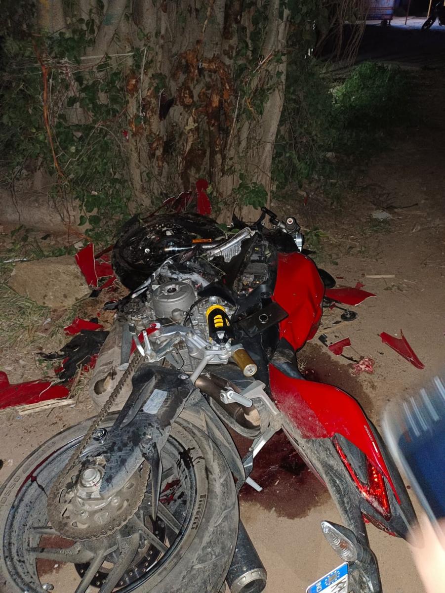 The youths were killed when their sports bike rammed into a tree at a road curve on Sarjapur Road. SPECIAL ARRANGEMENT