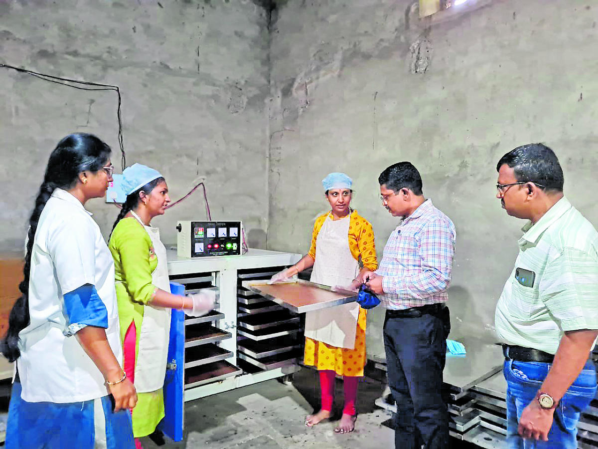 One of the fig processing units set up in Kurgod. Credit: Special arrangement