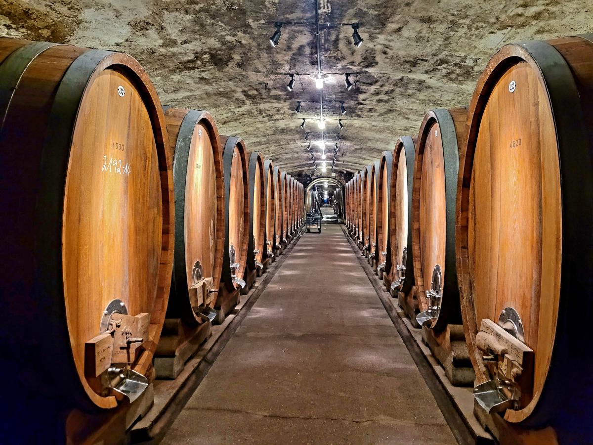 A wine cellar in Juliusspital. PHOTO BY AUTHOR