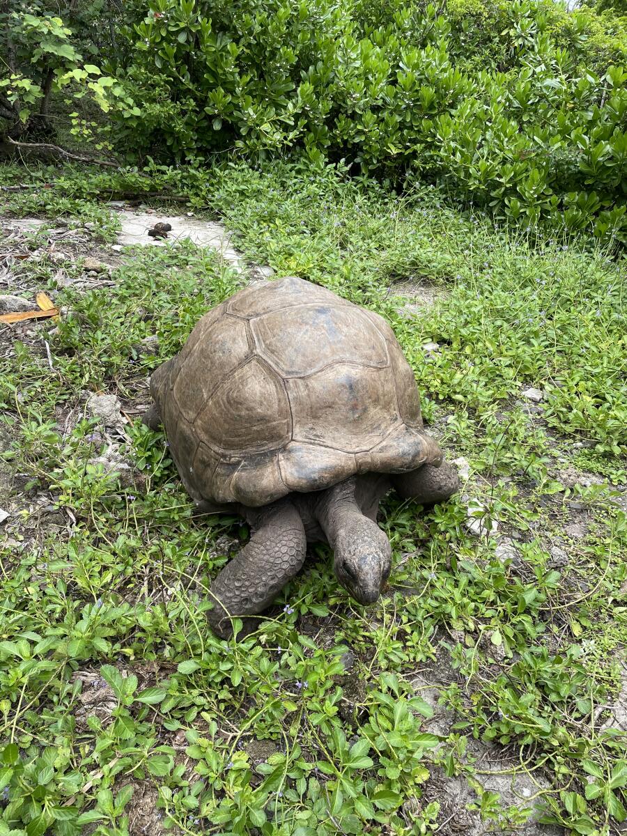 Say hello to Big Daddy who is 95 years old.