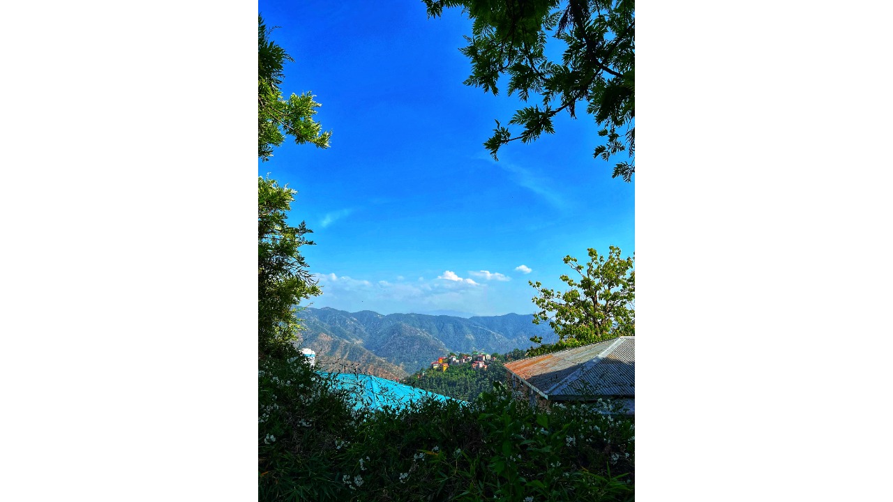 The stunning views offered from the airbnb cottage we stayed in. Credit: Rupali Dean