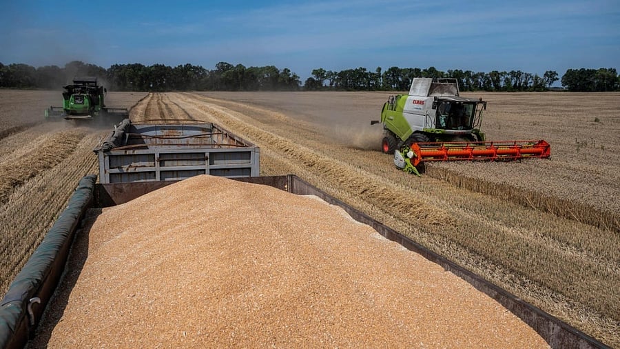 <div class="paragraphs"><p>Prices of the essential food grain surged to a record in March after Russia’s invasion of Ukraine choked exports from the Black Sea region. </p></div>