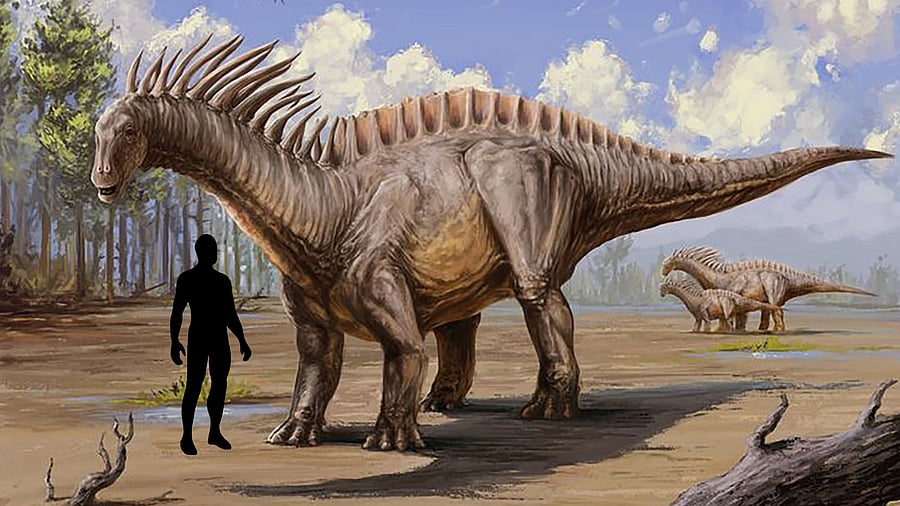 <div class="paragraphs"><p>Scientists previously found fossils of two other sauropods from India, but Tharosaurus is a more evolved creature.</p></div>