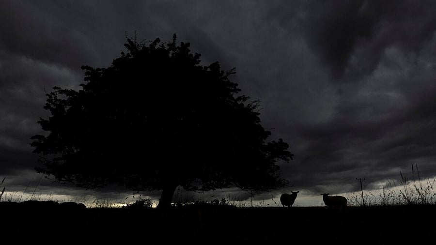 <div class="paragraphs"><p>Sheep take shelter near a tree as storm clouds roll in on the Curragh gallops, in Newbridge, Ireland. </p></div>