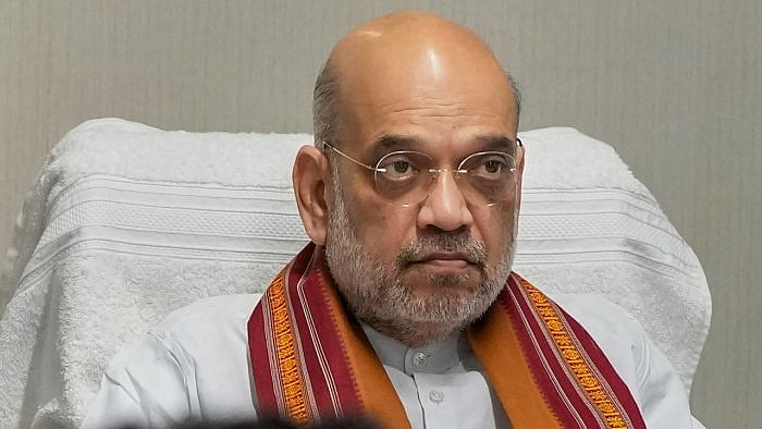 <div class="paragraphs"><p>Union Home Minister Amit Shah</p></div>
