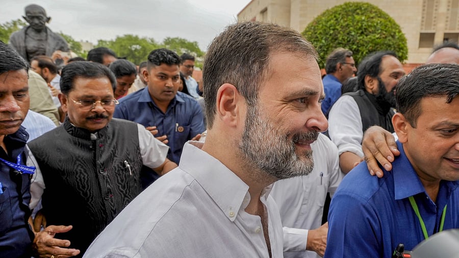 <div class="paragraphs"><p>Congress MP Rahul Gandhi.</p></div>