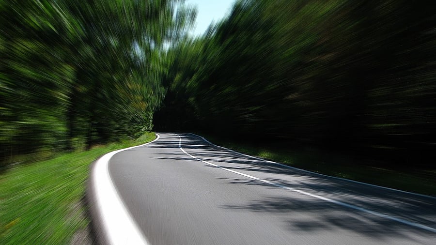 <div class="paragraphs"><p>The social forestry division of the department would execute the plan of planting trees on the sides and medians of the highways.&nbsp;</p></div>