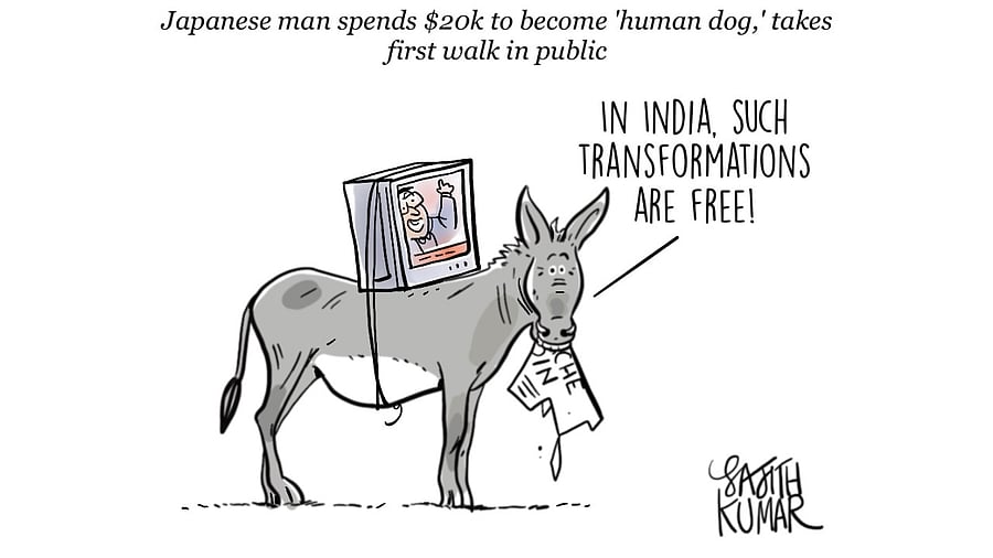 <div class="paragraphs"><p>Credit: Sajith Kumar</p></div>