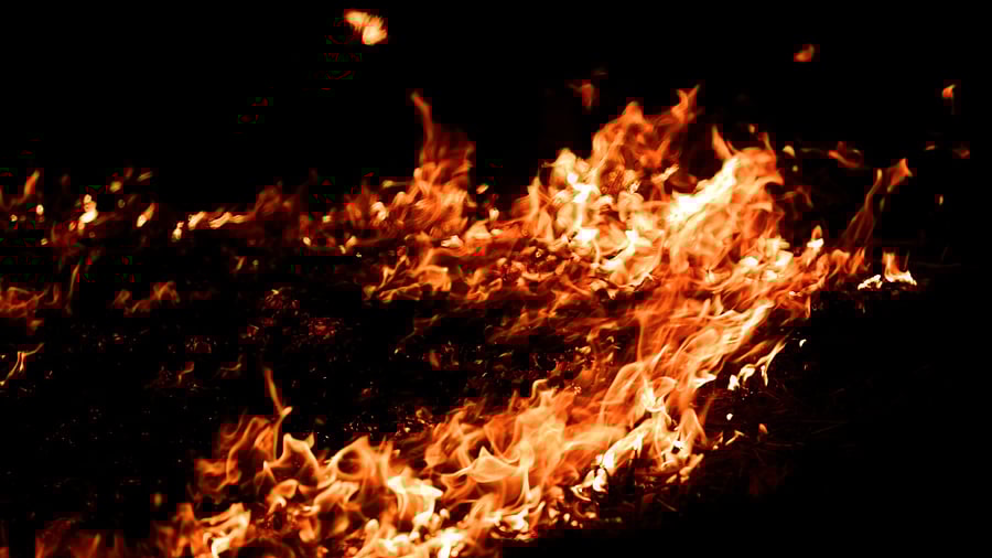 <div class="paragraphs"><p>Representative image of a fire blaze.</p></div>