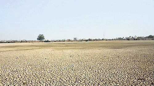 <div class="paragraphs"><p>Representative image of dry land.</p></div>