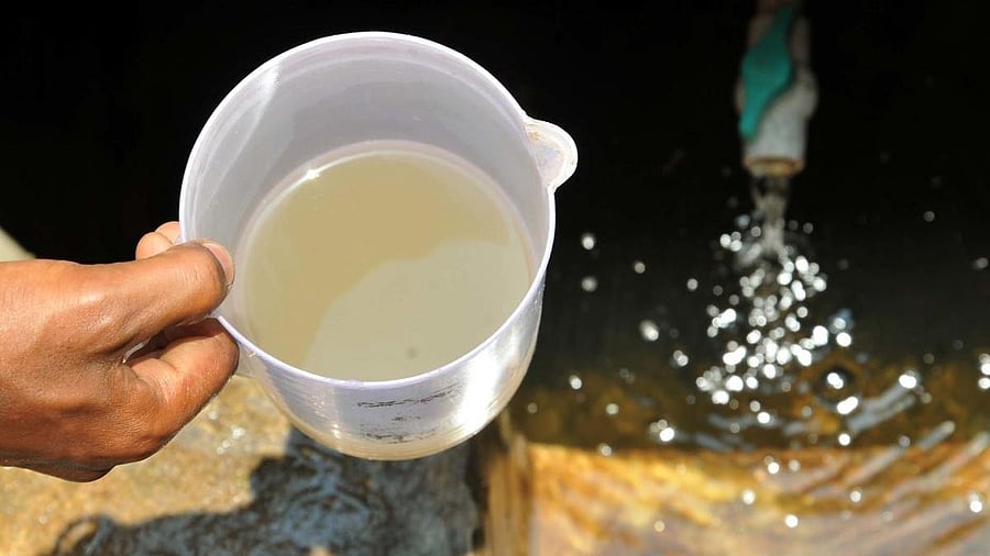 <div class="paragraphs"><p>Representative image of contaminated water.</p></div>