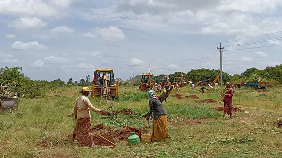 <div class="paragraphs"><p>Staffers plant saplings at the reclaimed forest land in Srinivaspura in Kolar district.</p></div>
