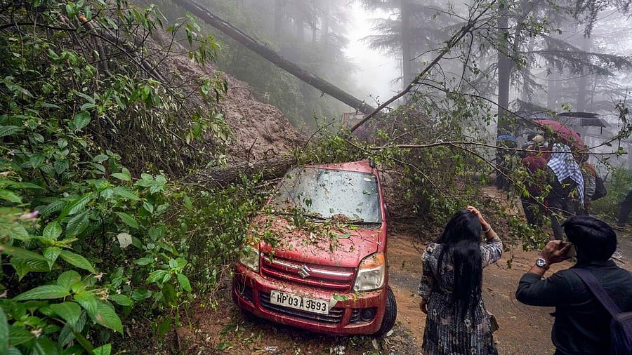 <div class="paragraphs"><p>A vehicle damaged after a tree fell on it, aslo causing a blockage of a road during heavy rainfall, in Shimla.</p></div>