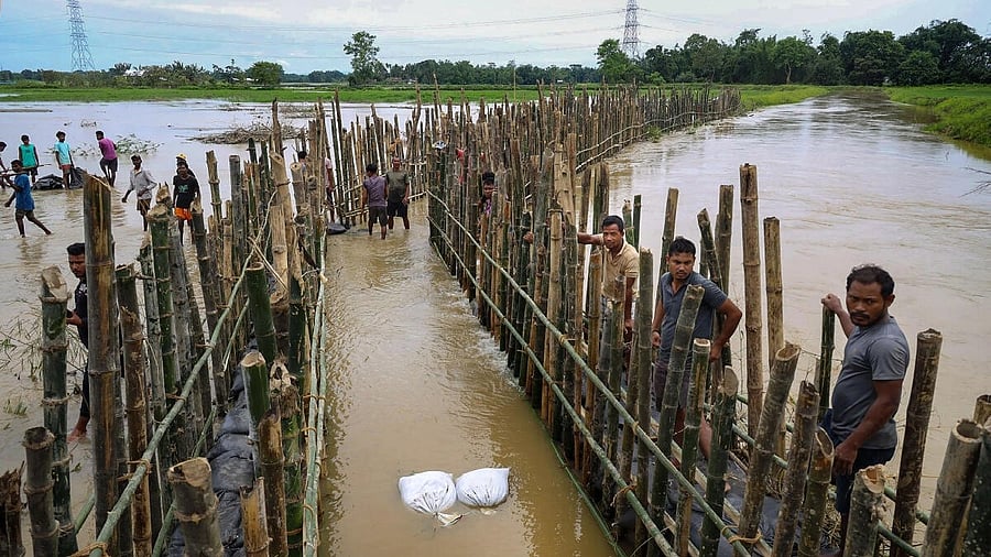 <div class="paragraphs"><p>Locals construct an embankment with bamboo and sandbags to prevent breach from floodwater during monsoon season, at Gohpur in Assam. </p></div>