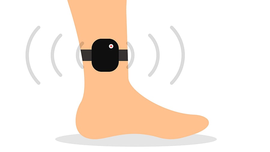 <div class="paragraphs"><p>Representative image showing an ankle tracking device.</p></div>
