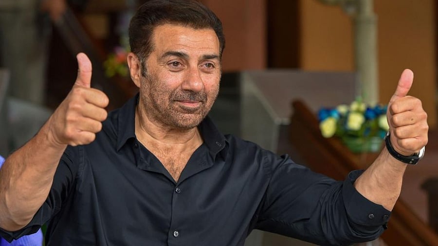 <div class="paragraphs"><p>BJP MP Sunny Deol. </p></div>