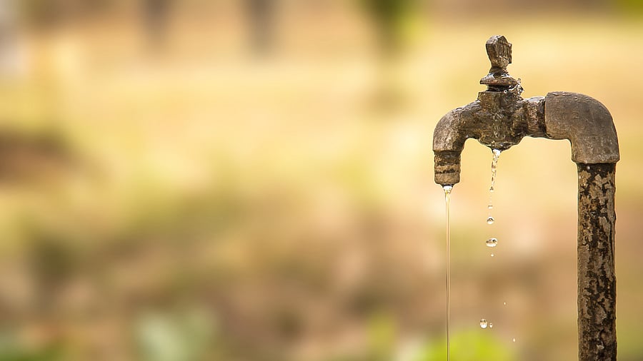 <div class="paragraphs"><p>Representative Image. </p></div>