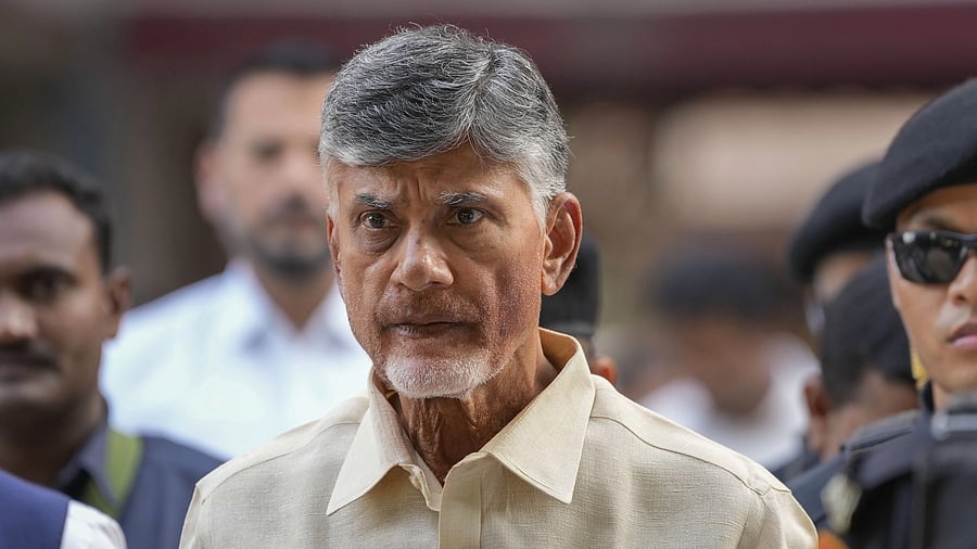 <div class="paragraphs"><p>Telugu Desam Party (TDP) President N Chandrababu Naidu.</p></div>