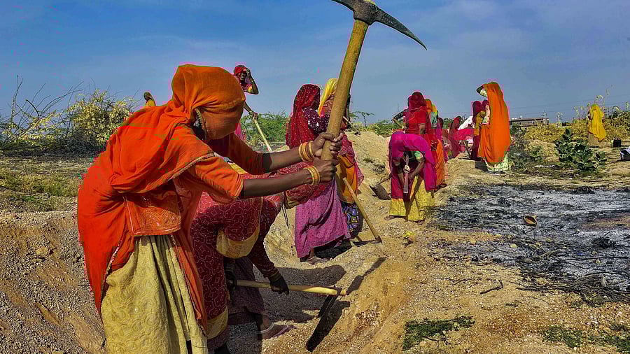 <div class="paragraphs"><p>Women labourers enrolled under the Mahatma Gandhi National Rural Employment Guarantee Act working&nbsp;at a field in Bikaner.&nbsp;</p></div>