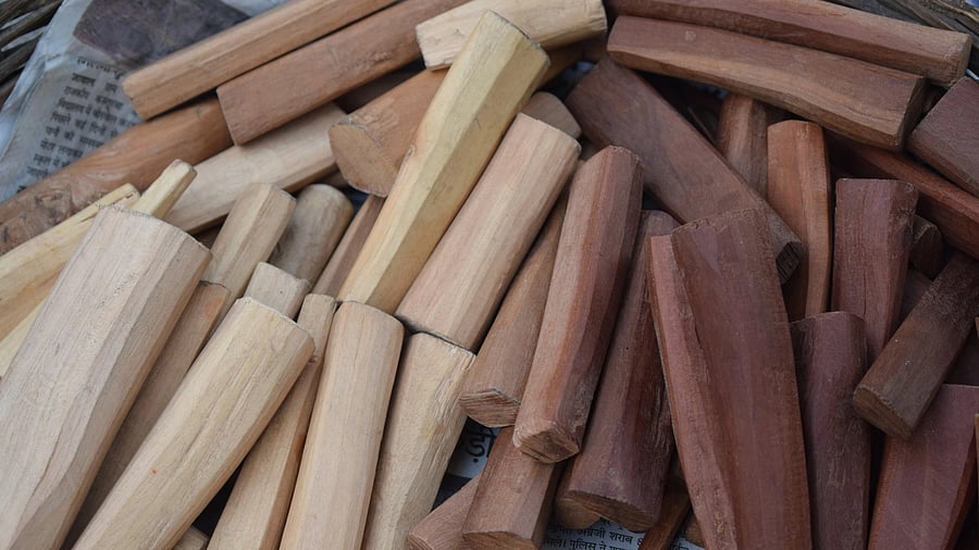 <div class="paragraphs"><p>Representative image of sandalwood.</p></div>