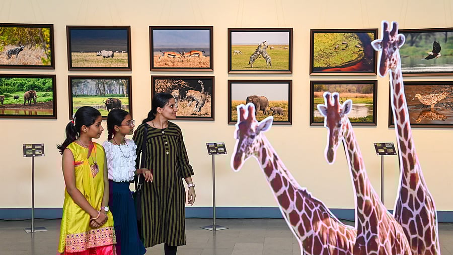 <div class="paragraphs"><p>Photo exhibition at Karnataka Chitrakala Parishath.&nbsp;</p></div>