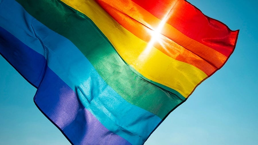 <div class="paragraphs"><p>Pride flag. </p></div>