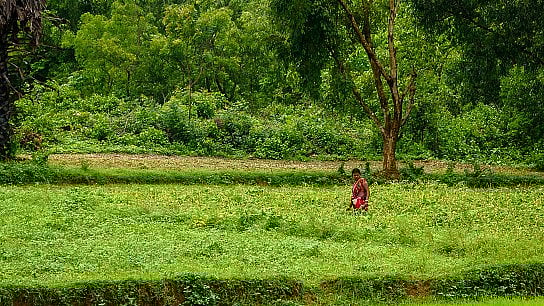 <div class="paragraphs"><p>Representative image from Jharkhand.</p></div>