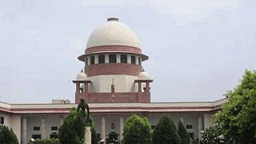 <div class="paragraphs"><p>Representative image.</p></div>