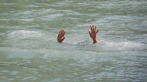 Family of 4 drown as car falls into water-filled pit after hitting wild ...