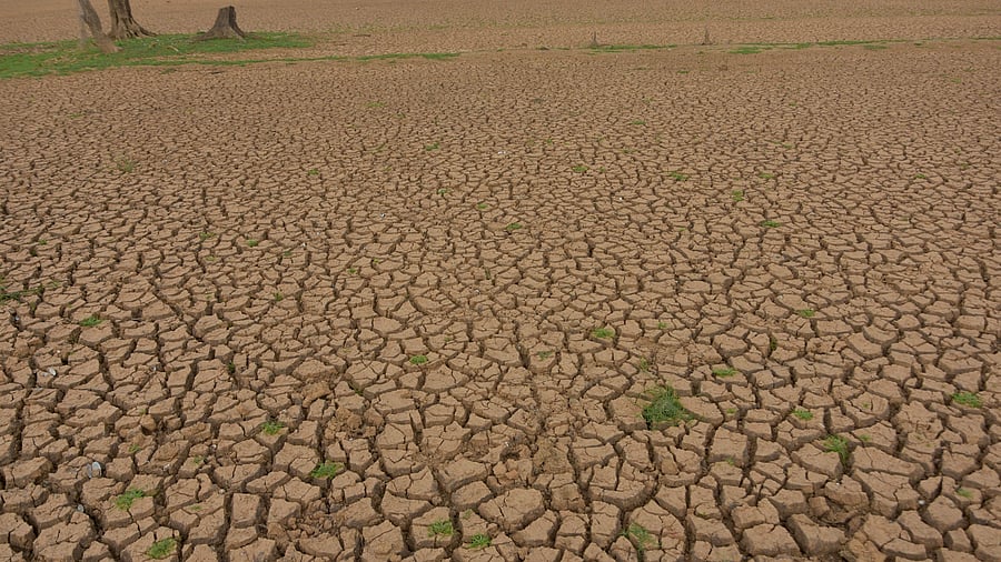 <div class="paragraphs"><p>The minor irrigation department is responsible for a command area of 21 lakh acres in the state, for supplying water to crops and depletion of storage in these tanks adversely affects standing crops in the command area. </p></div>