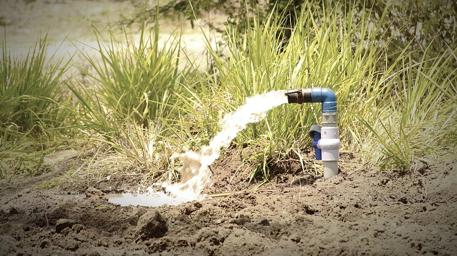 <div class="paragraphs"><p>Representative Image. </p></div>