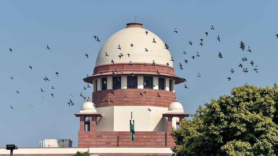 <div class="paragraphs"><p>Supreme Court. </p></div>