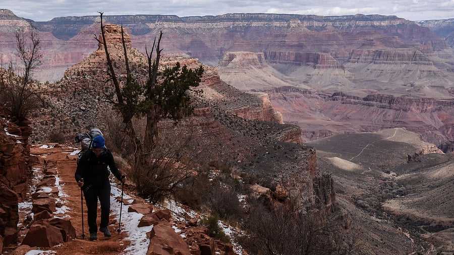 <div class="paragraphs"><p>Representative image of a person hiking on the Bright Angel Trail in the Grand Canyon near Grand Canyon Village, Arizona, US. </p></div>