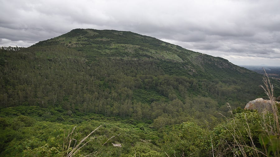 <div class="paragraphs"><p>Nandi Hills.&nbsp;</p></div>