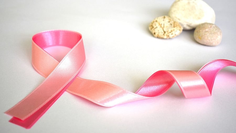 <div class="paragraphs"><p>Representative image.</p></div>