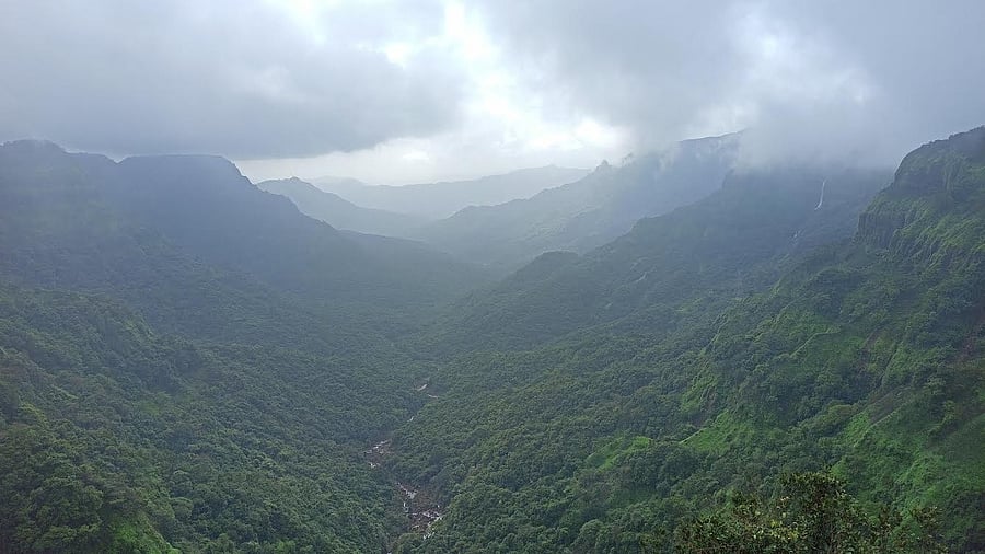 <div class="paragraphs"><p>Amboli Ghat.</p></div>