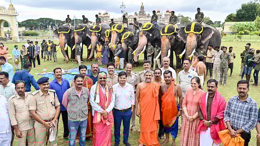 <div class="paragraphs"><p>'Gaja Puja' for Dasara jumbos was held on the premises of Mysuru Palace, on account of Ganesh Chaturthi on Monday. Pejawar seer Vishwa Prasanna Theertha Swami, Mysuru Palace Board Deputy Director T S Subramanya, Forest department officers Saurabh Kumar, K N Basavaraju, Santosh Hoogar, veterinarian Mujeeb Rehman and others are seen. </p></div>