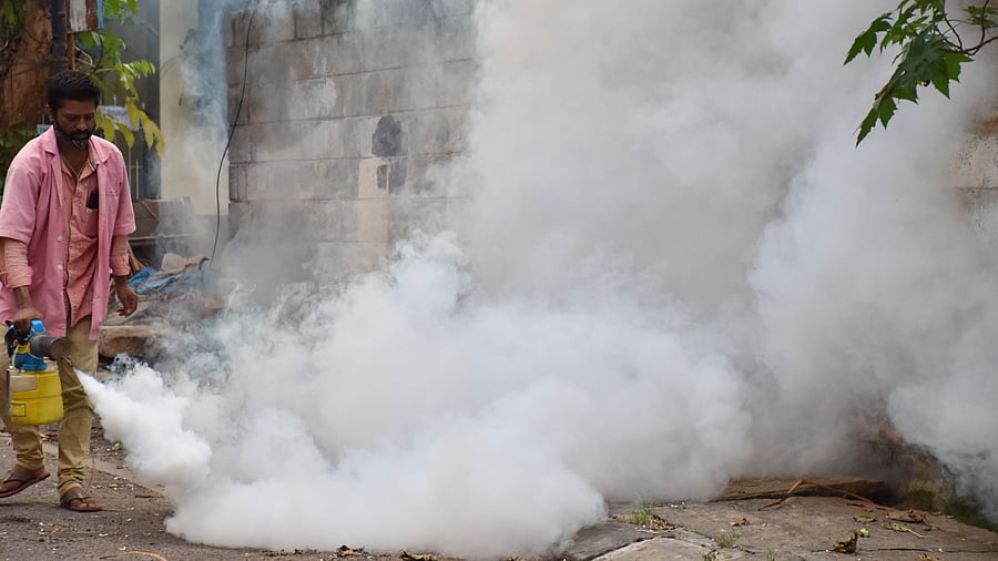 <div class="paragraphs"><p>Over 7,000 dengue cases have been reported across the state this year and out of  this, 4,000 are from Bengaluru, according to the chief minister. </p></div>