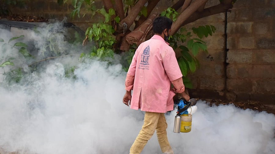 <div class="paragraphs"><p>Representative image of BBMP worker fogging amid dengue cases in state. </p></div>