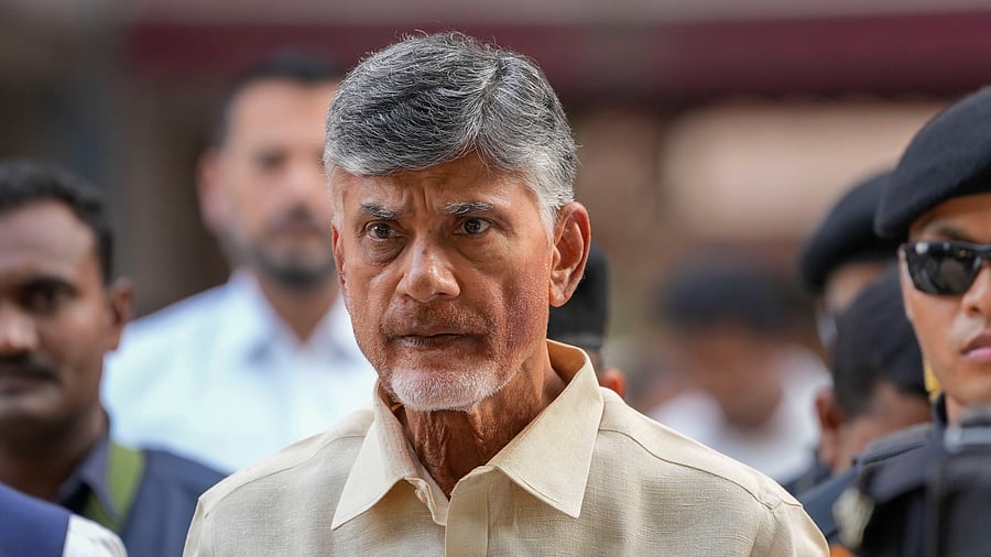 <div class="paragraphs"><p>TDP chief Chandrababu Naidu.</p></div>
