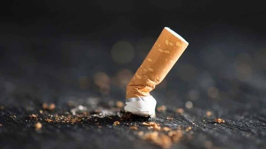 <div class="paragraphs"><p>Representative image of a cigarette.&nbsp;</p></div>