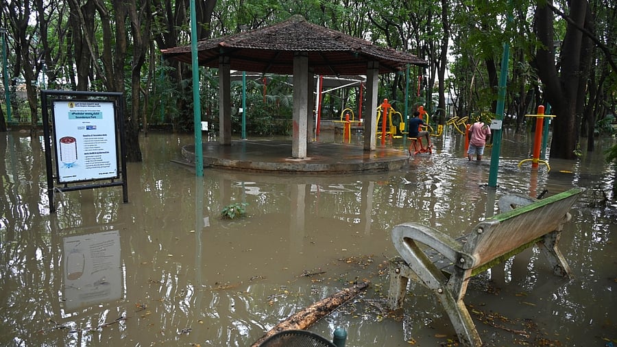 <div class="paragraphs"><p>A waterlogged Soundarya Park at Dollars Colony on Friday, following a heavy downpour the previous night. </p></div>