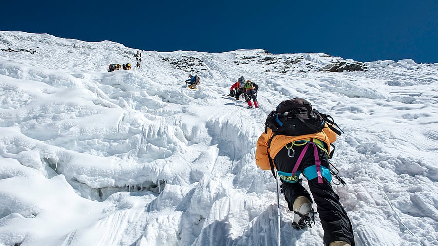 <div class="paragraphs"><p>Representative Image. </p></div>