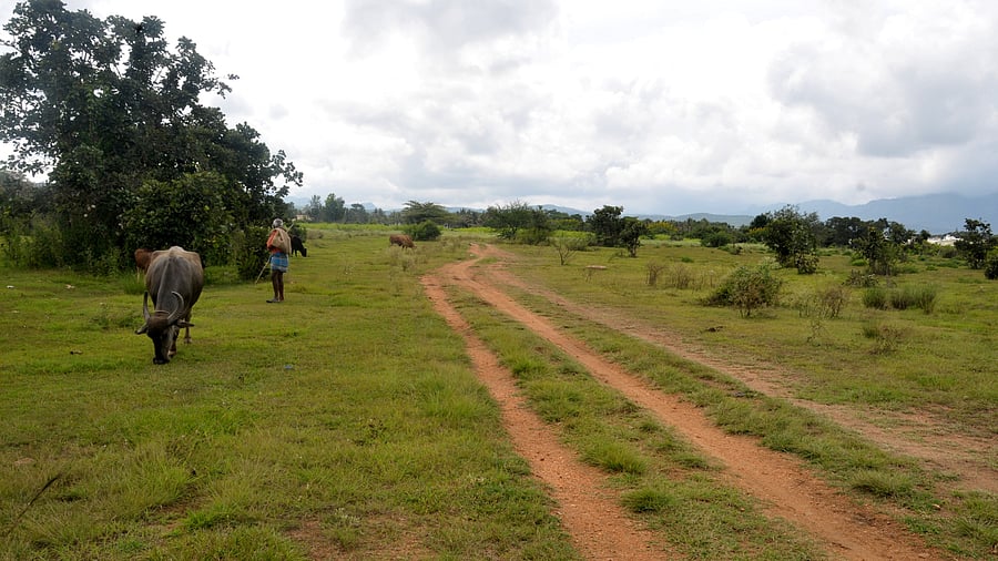 <div class="paragraphs"><p>The land earmarked for the mini airport, on the outskirts of Chikkamagaluru city.</p></div>
